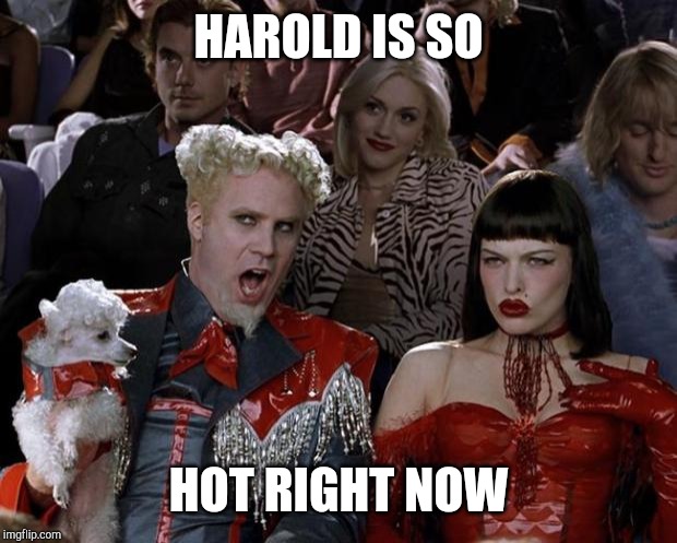 Mugatu So Hot Right Now | HAROLD IS SO; HOT RIGHT NOW | image tagged in memes,mugatu so hot right now | made w/ Imgflip meme maker