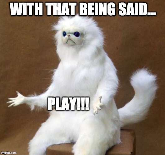 Persian Cat | WITH THAT BEING SAID... PLAY!!! | image tagged in persian cat | made w/ Imgflip meme maker