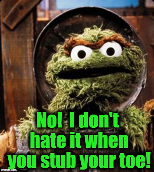 Oscar the Grouch | No!  I don't hate it when you stub your toe! | image tagged in oscar the grouch | made w/ Imgflip meme maker