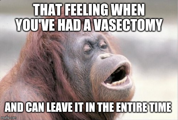 Monkey OOH Meme | THAT FEELING WHEN YOU'VE HAD A VASECTOMY AND CAN LEAVE IT IN THE ENTIRE TIME | image tagged in memes,monkey ooh | made w/ Imgflip meme maker