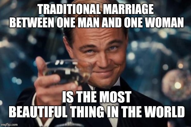 Leonardo Dicaprio Cheers Meme | TRADITIONAL MARRIAGE BETWEEN ONE MAN AND ONE WOMAN; IS THE MOST BEAUTIFUL THING IN THE WORLD | image tagged in memes,leonardo dicaprio cheers | made w/ Imgflip meme maker