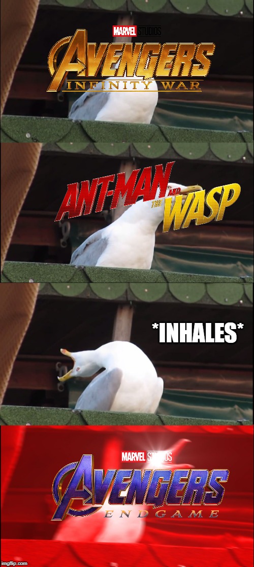 Inhaling Seagull | *INHALES* | image tagged in memes,inhaling seagull | made w/ Imgflip meme maker