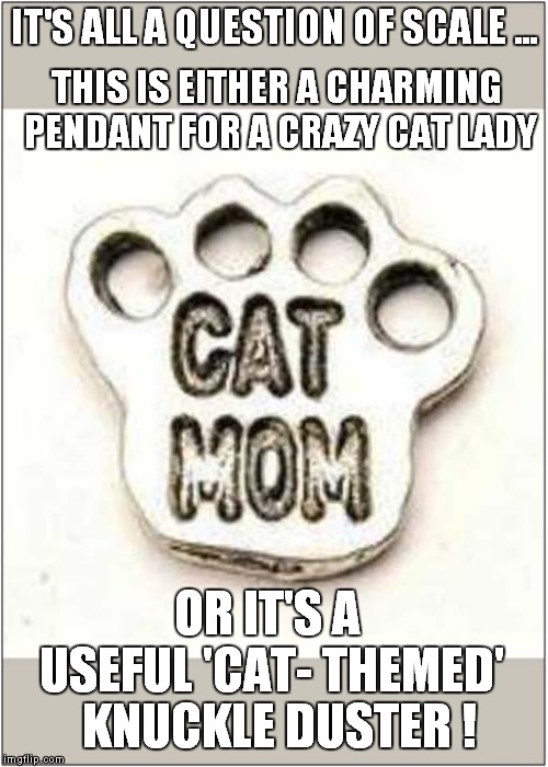 Never Mess With A Crazy Cat Lady | IT'S ALL A QUESTION OF SCALE ... THIS IS EITHER A CHARMING PENDANT FOR A CRAZY CAT LADY; OR IT'S A  USEFUL 'CAT- THEMED'; KNUCKLE DUSTER ! | image tagged in fun,crazy cat lady | made w/ Imgflip meme maker