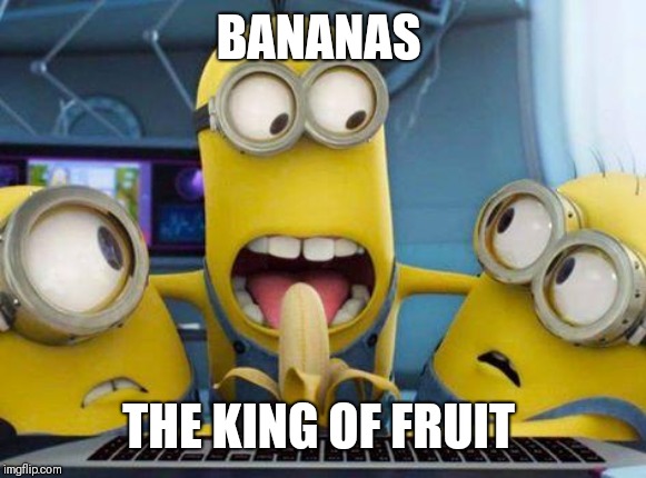 minions banana | BANANAS THE KING OF FRUIT | image tagged in minions banana | made w/ Imgflip meme maker