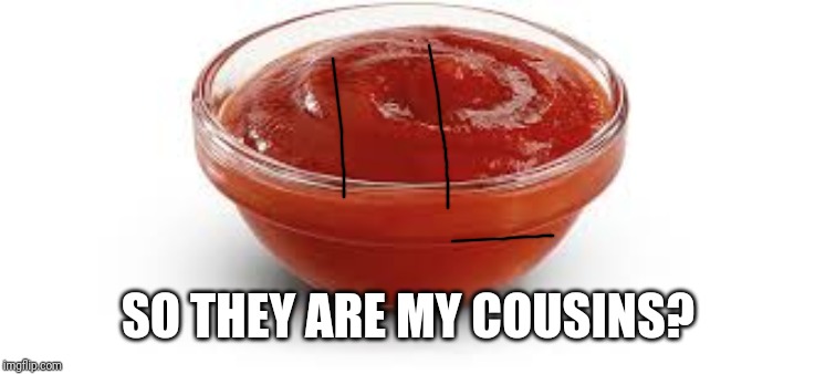 Kechup | SO THEY ARE MY COUSINS? | image tagged in kechup | made w/ Imgflip meme maker