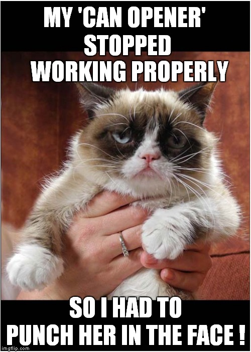 Grumpys Kitchen Maintainance | MY 'CAN OPENER'; STOPPED WORKING PROPERLY; SO I HAD TO; PUNCH HER IN THE FACE ! | image tagged in cats,grumpy cat | made w/ Imgflip meme maker