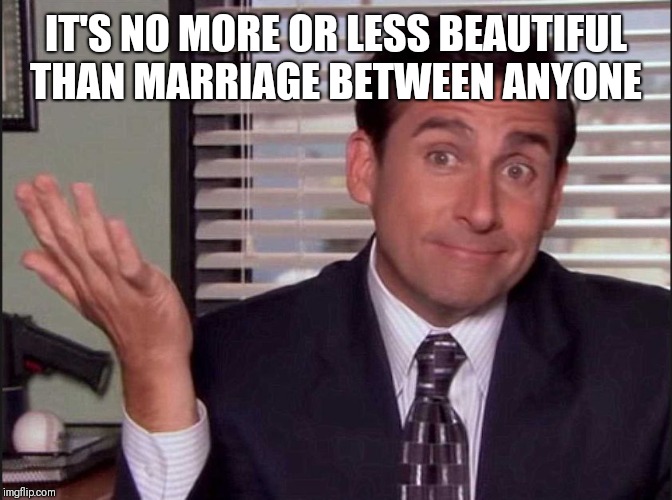 Michael Scott | IT'S NO MORE OR LESS BEAUTIFUL THAN MARRIAGE BETWEEN ANYONE | image tagged in michael scott | made w/ Imgflip meme maker