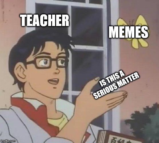 Is This A Pigeon Meme | TEACHER; MEMES; IS THIS A SERIOUS MATTER | image tagged in memes,is this a pigeon | made w/ Imgflip meme maker
