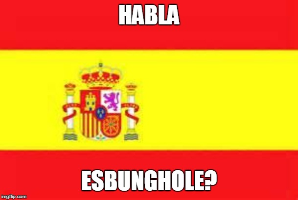 Habla Esbunghole? | HABLA; ESBUNGHOLE? | image tagged in spain flag,bunghole | made w/ Imgflip meme maker