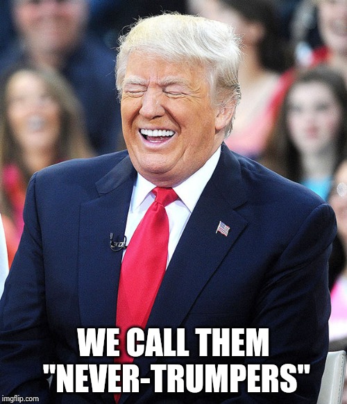 trump laughing | WE CALL THEM "NEVER-TRUMPERS" | image tagged in trump laughing | made w/ Imgflip meme maker