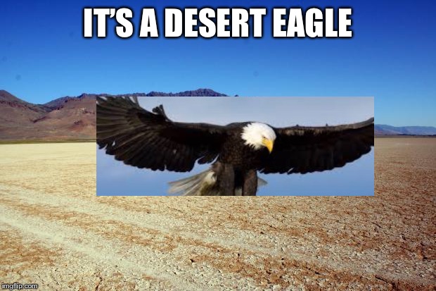 Desert Large dry | IT’S A DESERT EAGLE | image tagged in desert large dry | made w/ Imgflip meme maker