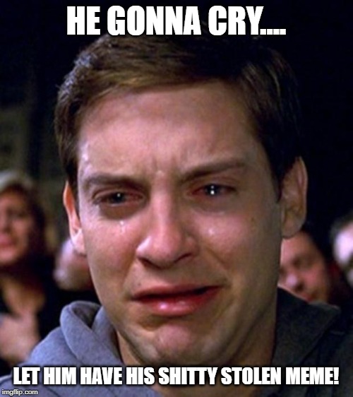 crying peter parker | HE GONNA CRY.... LET HIM HAVE HIS SHITTY STOLEN MEME! | image tagged in crying peter parker | made w/ Imgflip meme maker