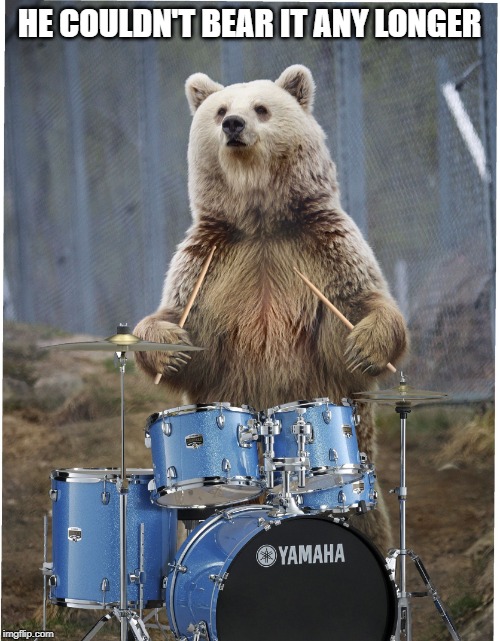Drummer bear | HE COULDN'T BEAR IT ANY LONGER | image tagged in drummer bear | made w/ Imgflip meme maker