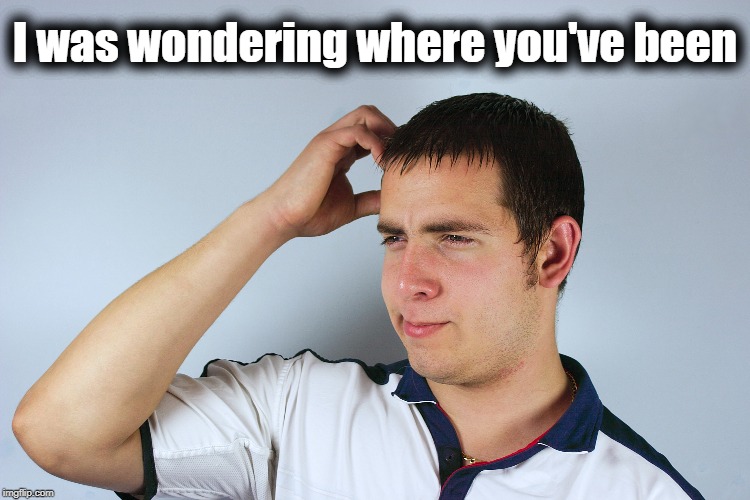 I was wondering where you've been | made w/ Imgflip meme maker