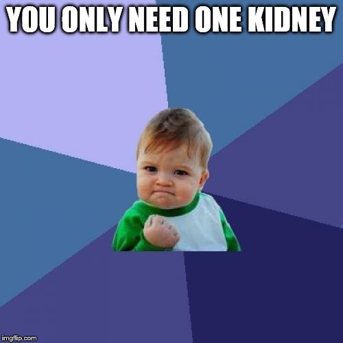 Success Kid Meme | YOU ONLY NEED ONE KIDNEY | image tagged in memes,success kid | made w/ Imgflip meme maker