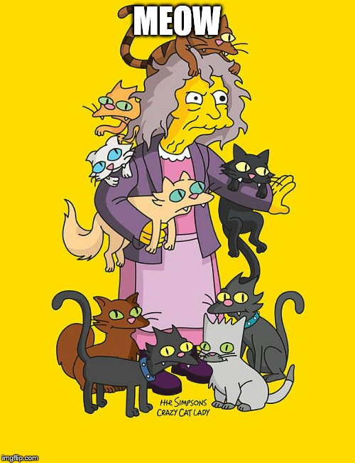 Crazy Cat Lady | MEOW | image tagged in crazy cat lady | made w/ Imgflip meme maker