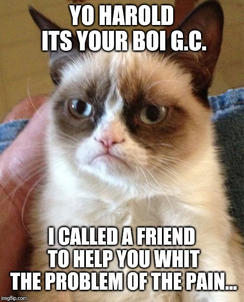 Grumpy Cat Meme | YO HAROLD ITS YOUR BOI G.C. I CALLED A FRIEND TO HELP YOU WHIT THE PROBLEM OF THE PAIN... | image tagged in memes,grumpy cat | made w/ Imgflip meme maker