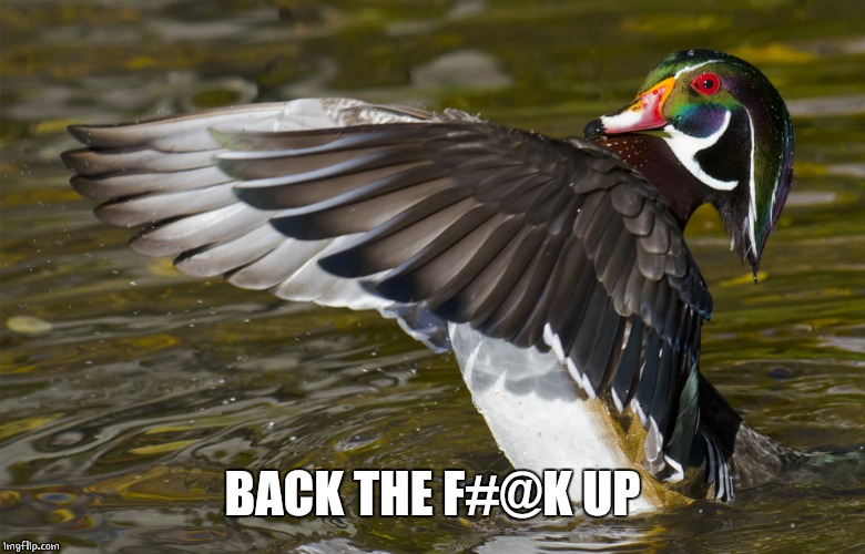 Back up | BACK THE F#@K UP | image tagged in back up duck,duck,ducks,funny | made w/ Imgflip meme maker