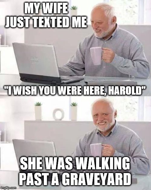 14th-16th June. HTPH weekend Craziness_all_the_way and LordCheesus event. | MY WIFE JUST TEXTED ME; "I WISH YOU WERE HERE, HAROLD"; SHE WAS WALKING PAST A GRAVEYARD | image tagged in memes,hide the pain harold,hide the pain harold weekend | made w/ Imgflip meme maker