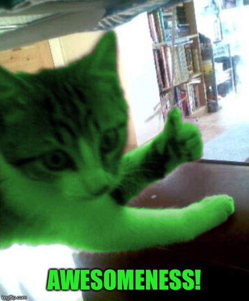 thumbs up RayCat | AWESOMENESS! | image tagged in thumbs up raycat | made w/ Imgflip meme maker