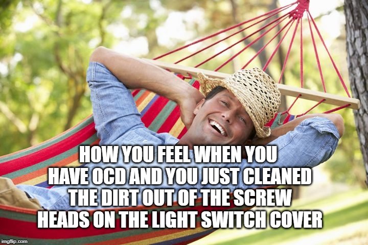 It's an awesomely terrible disorder. | HOW YOU FEEL WHEN YOU HAVE OCD AND YOU JUST CLEANED THE DIRT OUT OF THE SCREW HEADS ON THE LIGHT SWITCH COVER | image tagged in cleaning,ocd | made w/ Imgflip meme maker