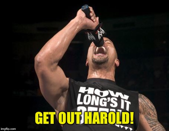 the rock finally | GET OUT HAROLD! | image tagged in the rock finally | made w/ Imgflip meme maker