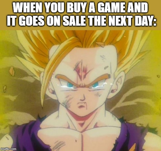 sad Gohan ssj2 | WHEN YOU BUY A GAME AND IT GOES ON SALE THE NEXT DAY: | image tagged in sad gohan ssj2 | made w/ Imgflip meme maker