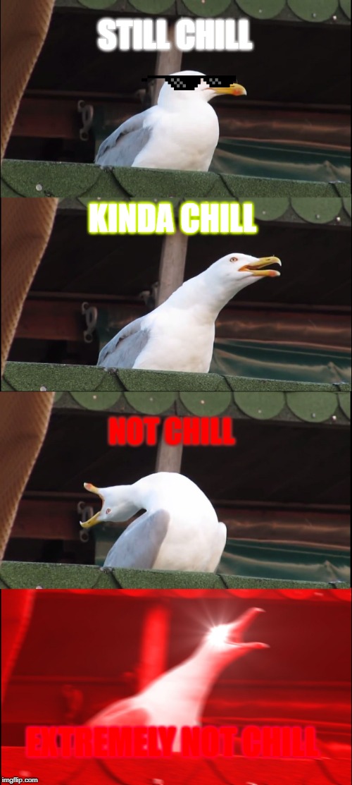 Inhaling Seagull Meme | STILL CHILL; KINDA CHILL; NOT CHILL; EXTREMELY NOT CHILL | image tagged in memes,inhaling seagull | made w/ Imgflip meme maker