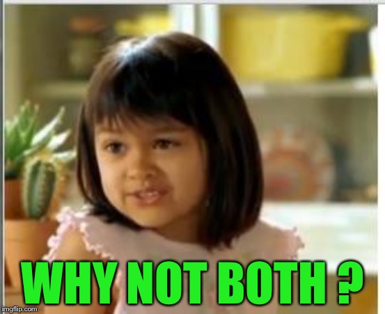 Why not both | WHY NOT BOTH ? | image tagged in why not both | made w/ Imgflip meme maker