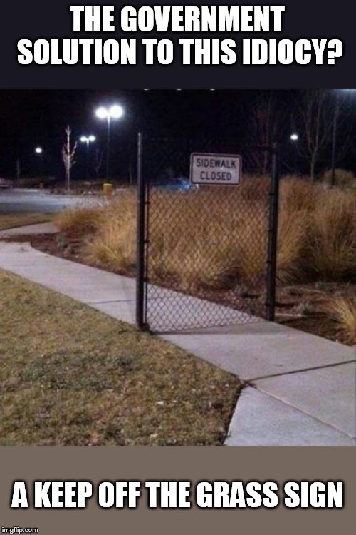 stupid begets stupid | THE GOVERNMENT SOLUTION TO THIS IDIOCY? A KEEP OFF THE GRASS SIGN | image tagged in sidewalk closed | made w/ Imgflip meme maker
