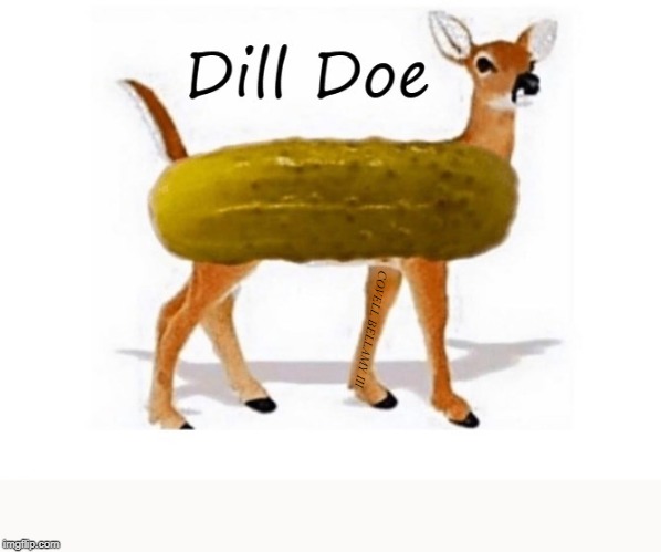 Dill Doe | COVELL BELLAMY III | image tagged in dill doe | made w/ Imgflip meme maker