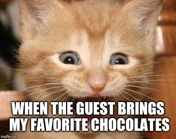 Excited Cat Meme | WHEN THE GUEST BRINGS MY FAVORITE CHOCOLATES | image tagged in memes,excited cat | made w/ Imgflip meme maker