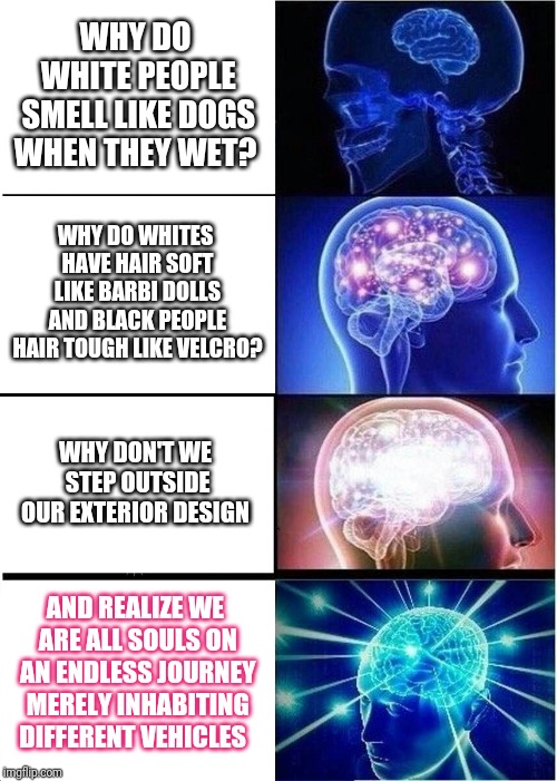 Expanding Brain Meme | WHY DO WHITE PEOPLE SMELL LIKE DOGS WHEN THEY WET? WHY DO WHITES HAVE HAIR SOFT LIKE BARBI DOLLS AND BLACK PEOPLE HAIR TOUGH LIKE VELCRO? WHY DON'T WE STEP OUTSIDE OUR EXTERIOR DESIGN; AND REALIZE WE ARE ALL SOULS ON AN ENDLESS JOURNEY MERELY INHABITING DIFFERENT VEHICLES | image tagged in memes,expanding brain | made w/ Imgflip meme maker