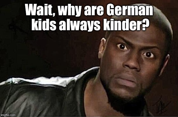Kevin Hart Meme | Wait, why are German kids always kinder? | image tagged in memes,kevin hart | made w/ Imgflip meme maker