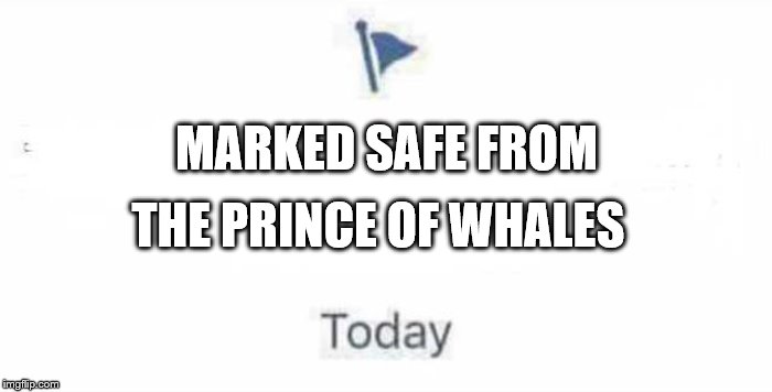 Marked Safe From | MARKED SAFE FROM; THE PRINCE OF WHALES | image tagged in marked safe from | made w/ Imgflip meme maker
