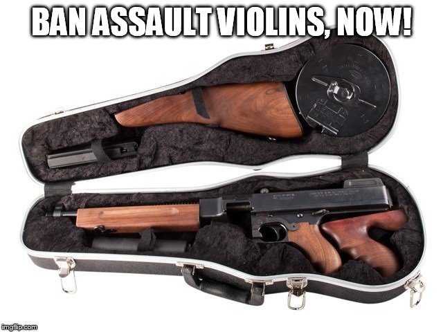 when will the senseless violins stop? | BAN ASSAULT VIOLINS, NOW! | image tagged in gun in violin case | made w/ Imgflip meme maker