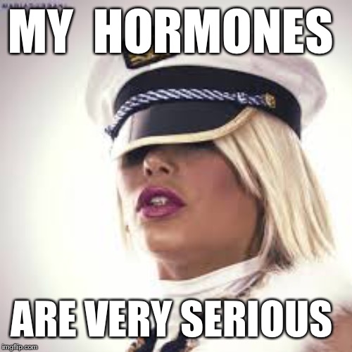 Maria Durbani | MY  HORMONES ARE VERY SERIOUS | image tagged in maria durbani | made w/ Imgflip meme maker