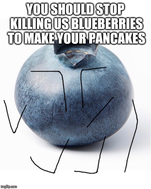 Blueberry | YOU SHOULD STOP KILLING US BLUEBERRIES TO MAKE YOUR PANCAKES | image tagged in blueberry | made w/ Imgflip meme maker