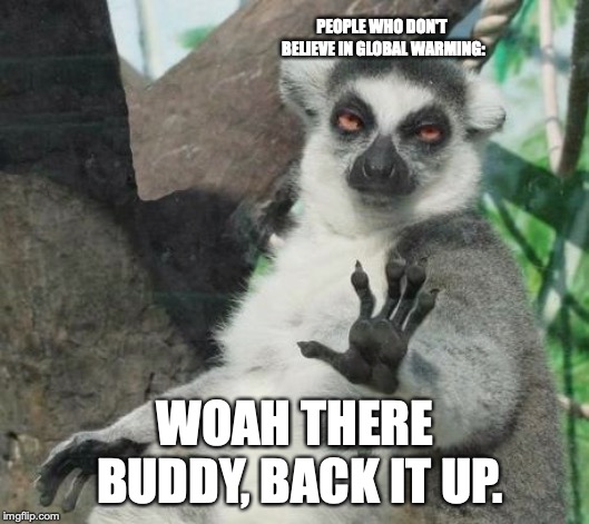 Stoner Lemur Meme | PEOPLE WHO DON'T BELIEVE IN GLOBAL WARMING: WOAH THERE BUDDY, BACK IT UP. | image tagged in memes,stoner lemur | made w/ Imgflip meme maker