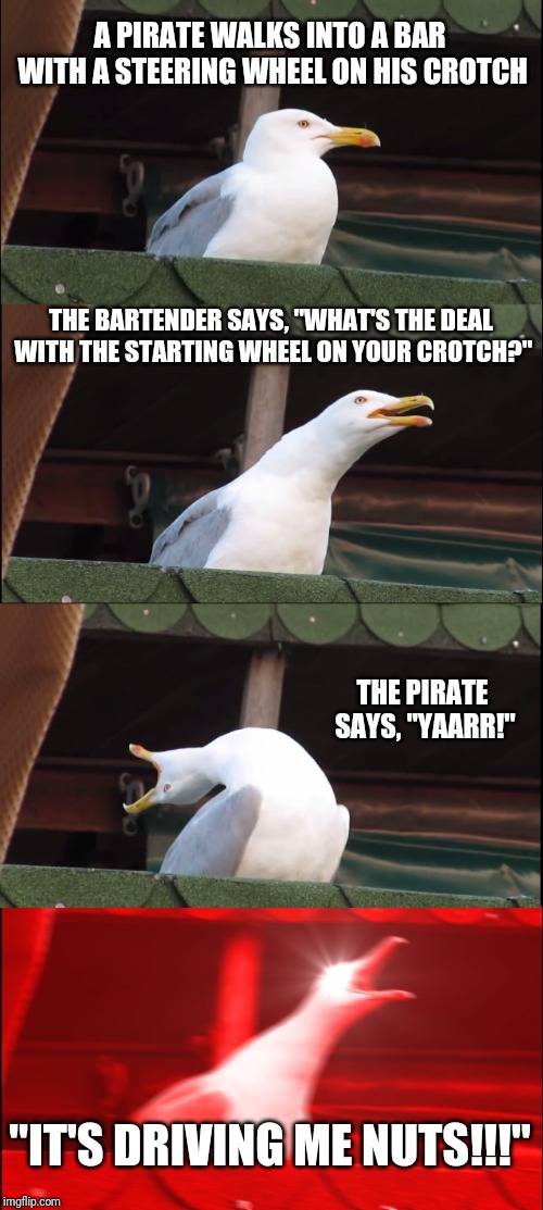 Inhaling Seagull | A PIRATE WALKS INTO A BAR WITH A STEERING WHEEL ON HIS CROTCH; THE BARTENDER SAYS, "WHAT'S THE DEAL WITH THE STARTING WHEEL ON YOUR CROTCH?"; THE PIRATE SAYS, "YAARR!"; "IT'S DRIVING ME NUTS!!!" | image tagged in memes,inhaling seagull | made w/ Imgflip meme maker