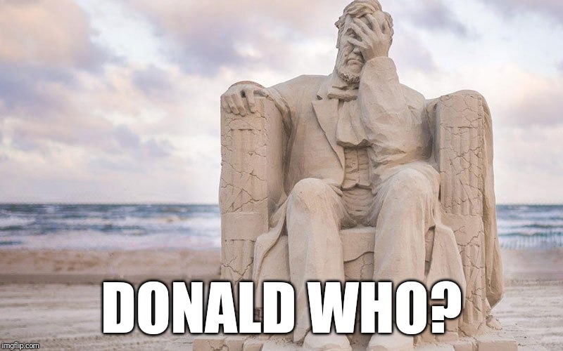 Lincoln | DONALD WHO? | image tagged in political meme | made w/ Imgflip meme maker