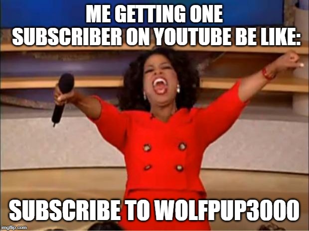 Me | ME GETTING ONE SUBSCRIBER ON YOUTUBE BE LIKE:; SUBSCRIBE TO WOLFPUP3000 | image tagged in memes,oprah you get a | made w/ Imgflip meme maker