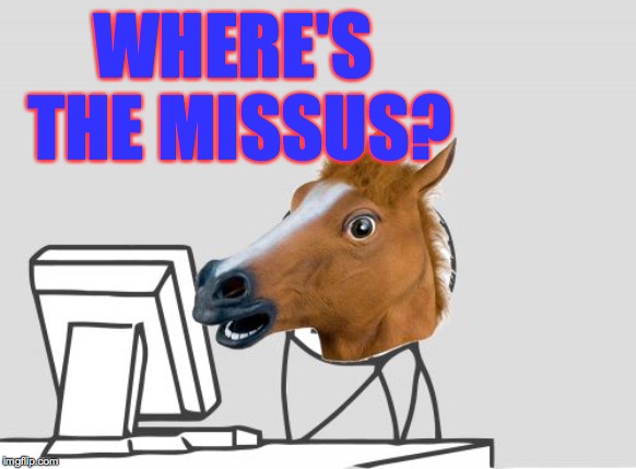 Computer Horse Meme | WHERE'S THE MISSUS? | image tagged in memes,computer horse | made w/ Imgflip meme maker