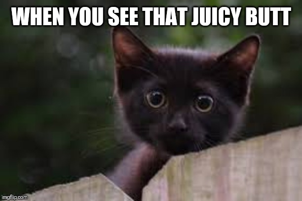 what's that?! | WHEN YOU SEE THAT JUICY BUTT | image tagged in what's that | made w/ Imgflip meme maker
