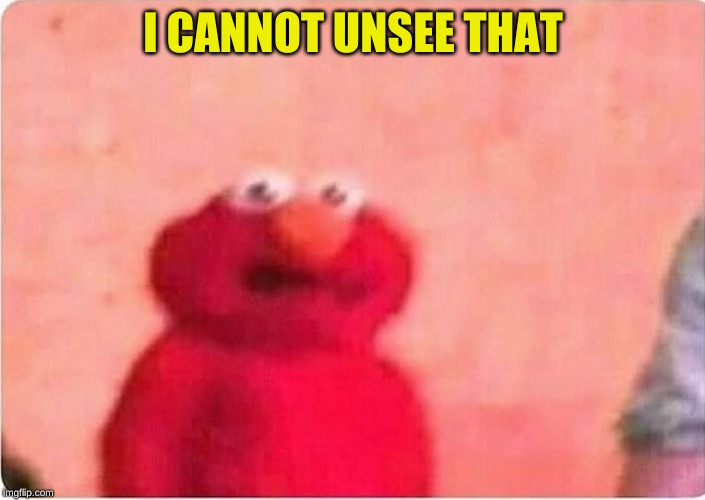 Sickened elmo | I CANNOT UNSEE THAT | image tagged in sickened elmo | made w/ Imgflip meme maker