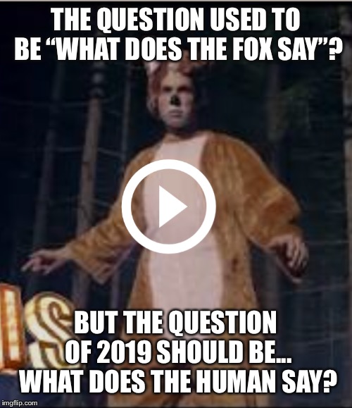 Question of 2019 | THE QUESTION USED TO BE “WHAT DOES THE FOX SAY”? BUT THE QUESTION OF 2019 SHOULD BE... WHAT DOES THE HUMAN SAY? | image tagged in question of 2019 | made w/ Imgflip meme maker