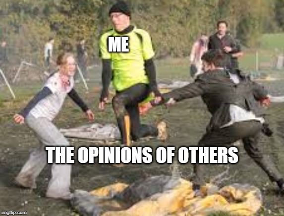 Nope the Zombies | ME; THE OPINIONS OF OTHERS | image tagged in nope the zombies | made w/ Imgflip meme maker