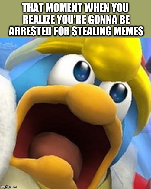 King Dedede oh shit face | THAT MOMENT WHEN YOU REALIZE YOU'RE GONNA BE ARRESTED FOR STEALING MEMES | image tagged in king dedede oh shit face | made w/ Imgflip meme maker