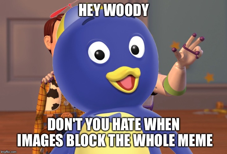 HEY WOODY; DON'T YOU HATE WHEN IMAGES BLOCK THE WHOLE MEME | image tagged in funny,hey,woody | made w/ Imgflip meme maker