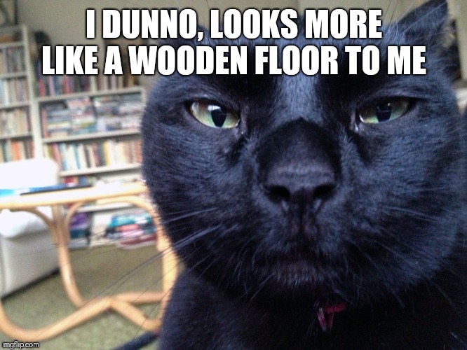 Suspicious cat | I DUNNO, LOOKS MORE LIKE A WOODEN FLOOR TO ME | image tagged in suspicious cat | made w/ Imgflip meme maker